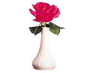 Bud Vases and Accent Vases
