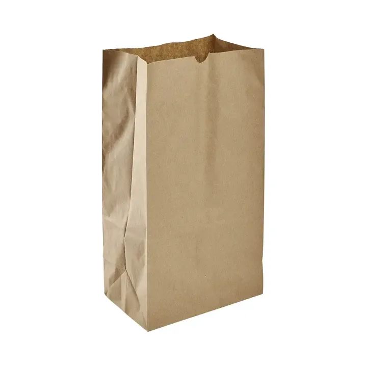 ARVESTA (DISPOSABLES) ARVESTA (DISPOSABLES) Paper Bag, Kraft, 12lb. (Pack Of 500)
