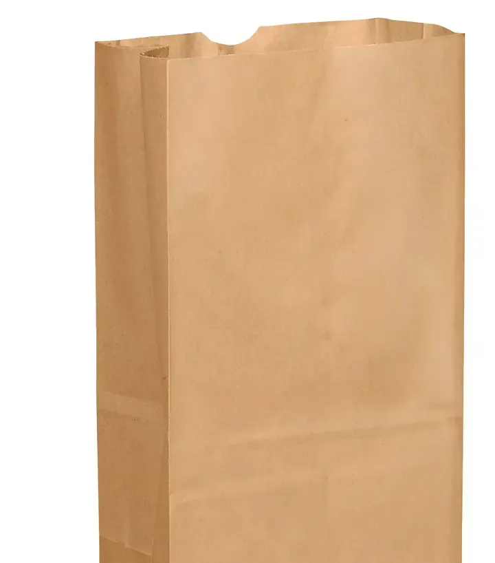 ARVESTA (DISPOSABLES) ARVESTA (DISPOSABLES) Paper Bag Kraft, 20 Lb. (Karat, 250pcs/Pack, 2packs/Bundle)