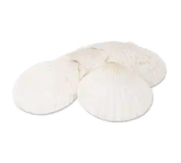 Alegacy Foodservice Products 663 Baking Shell