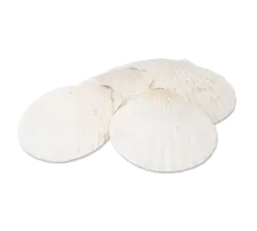 Alegacy Foodservice Products 664 Baking Shell