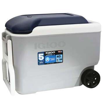 ARVESTA Cooler, 40 Qt, IGLOO Chest