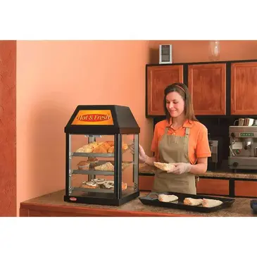 Hatco MDW-1X Display Case, Hot Food, Countertop