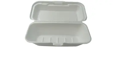 Hinged Container, 9.75" x 5.25", White, Foam, (200/Case) Dart 95HT1R