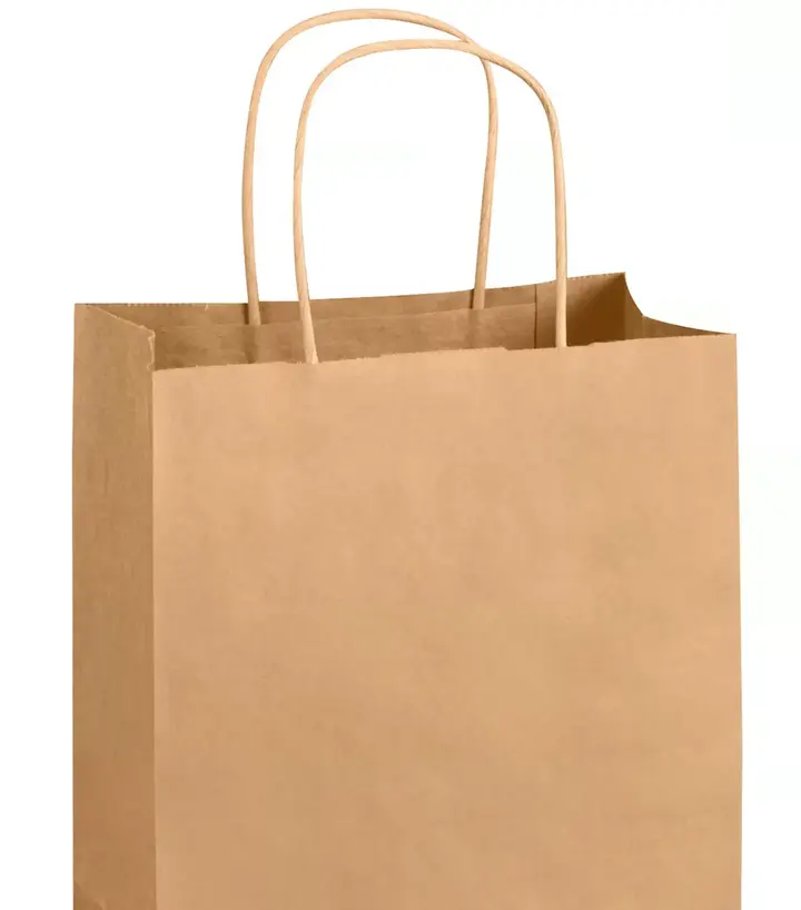 ARVESTA (DISPOSABLES) ARVESTA (DISPOSABLES) Kraft Twisted Bag With Printing, 120gsm, White Paper, 11.2"*8*12.5cm