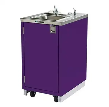 Lakeside Manufacturing 9620A Handwashing System