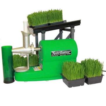 NUTRIFASTER INC. Wheatgrass Juicer, 19", Green, Stainless Steel, Nutrifaster Inc G160