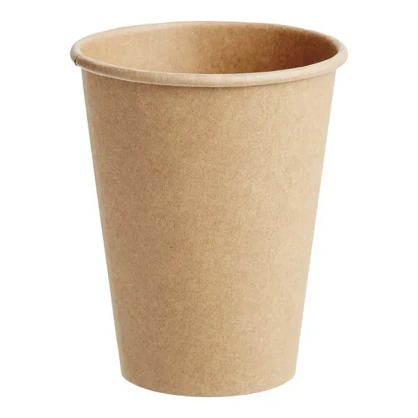 ARVESTA (DISPOSABLES) ARVESTA (DISPOSABLES) Paper Cold & Hot Cup, 12oz (Aubergine Cup)
