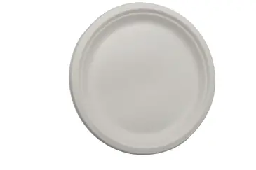 Plate, 10", White, Bagasse Pulp, (500/Case) Arvesta PL-10