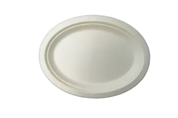 Plate, 10" X 8", Bagasse, (500/Case), Arvesta PL-10-EB