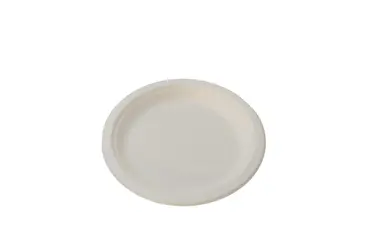 ARVESTA Plate, 7", White, Bagasse, Round, (50/Pack), Arvesta DPBP-07W