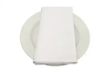 Sculptware SCU-B6034NP22-4 Napkin, Linen