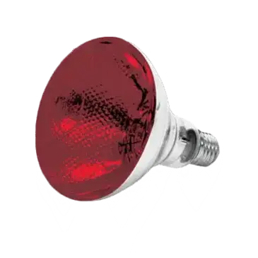 Thunder Group SEJ90001R Heat Lamp Bulb