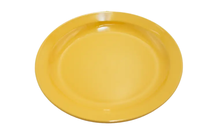 Veracruz Marigold Dinner Plate — 10.5"