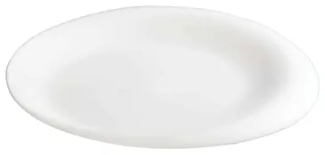 Winco WDP004-202 Plate, China