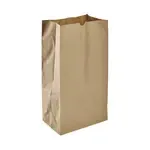 ARVESTA (DISPOSABLES) Paper Bag, Kraft, 12lb. (Pack Of 500)