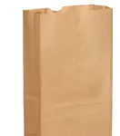 ARVESTA (DISPOSABLES) Paper Bag Kraft, 20 Lb. (Karat, 250pcs/Pack, 2packs/Bundle)