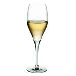 Vintage Champagne 12oz, Hospitality Brands X66118-024