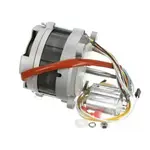 AllPoints Foodservice Parts & Supplies 8009394 Motor / Motor Parts, Replacement