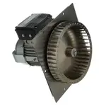AllPoints Foodservice Parts & Supplies 8010585 Motor / Motor Parts, Replacement