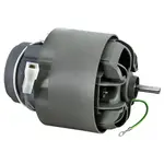 AllPoints Foodservice Parts & Supplies 8010853 Motor / Motor Parts, Replacement