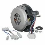 AllPoints Foodservice Parts & Supplies 8011872 Motor / Motor Parts, Replacement