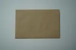 Quick Napkin, 8.3"x12.8", Kraft, Paper, 1-Ply, (6000/Case), Arvesta 517462