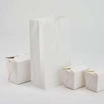Bag, 4LB, White, Paper, (2000/case), Karat FP-SOS04W