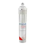 Everpure CTO-QCR2 Water Filtration System, Cartridge