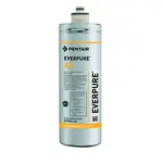 Everpure EV960112 Water Filter, Replacement Cartridge