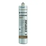 Everpure EV961250 Water Filter, Replacement Cartridge