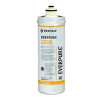 Everpure EV969166 Water Filtration System, Cartridge