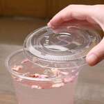 Flat Lid with Straw Slot, 12-24 Oz Drink Cup, Translucent, PET, (1000/Case), Karat C-KC626TS