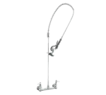 FMP 110-1170 Pre-Rinse Faucet Assembly