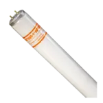FMP 253-1276 Light Bulb