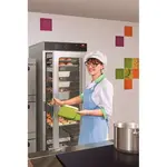 Hatco FSHC-17W1 Heated Cabinet, Mobile