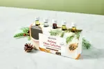 Monin Holiday Cheer Collection, 1.7 Oz, (12/Case), Monin P827-R4