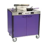 Lakeside Manufacturing 2075A Induction Hot Food Serving Counter