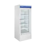 Norpole NPGF1-S13 Freezer, Merchandiser