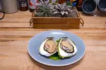 Oyster BL Coupe Plate 10.75