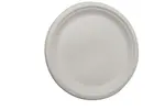 Plate, 10", White, Bagasse Pulp, (500/Case) Arvesta PL-10