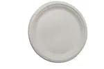 Plate, 10", White, Bagasse Pulp, (500/Case) Arvesta DPBP-101W