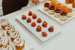 PLATES & BEYOND 58038-SplitCase