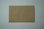 Quick Napkin, 8.3"x12.8", Kraft, Paper, 1-Ply, (6000/Case), Arvesta 517462