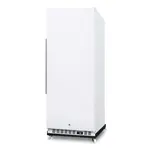Summit Commercial FFAR121SSRI Refrigerator, Reach-in