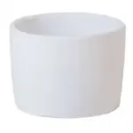 Vertex China ARG-RT2 Ramekin / Sauce Cup, China